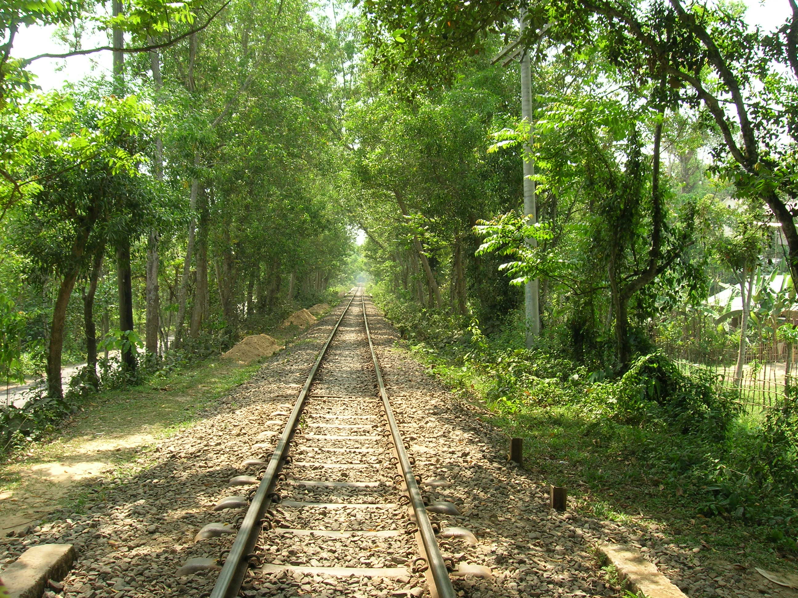 Bangladeshi Beautiful Railway!!!